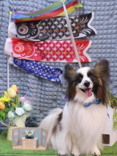 20230528マリーちゃん